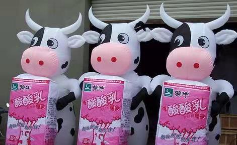 安徽牛奶厂广告气模
